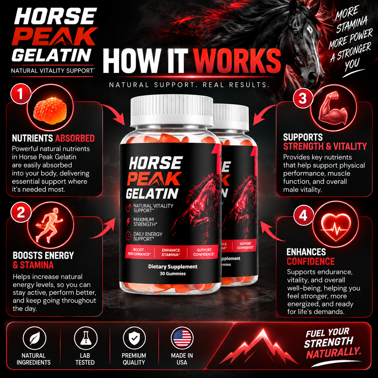 How Horse Peak Gelatin works — nutrients absorbed, energy & stamina, strength & vitality, confidence